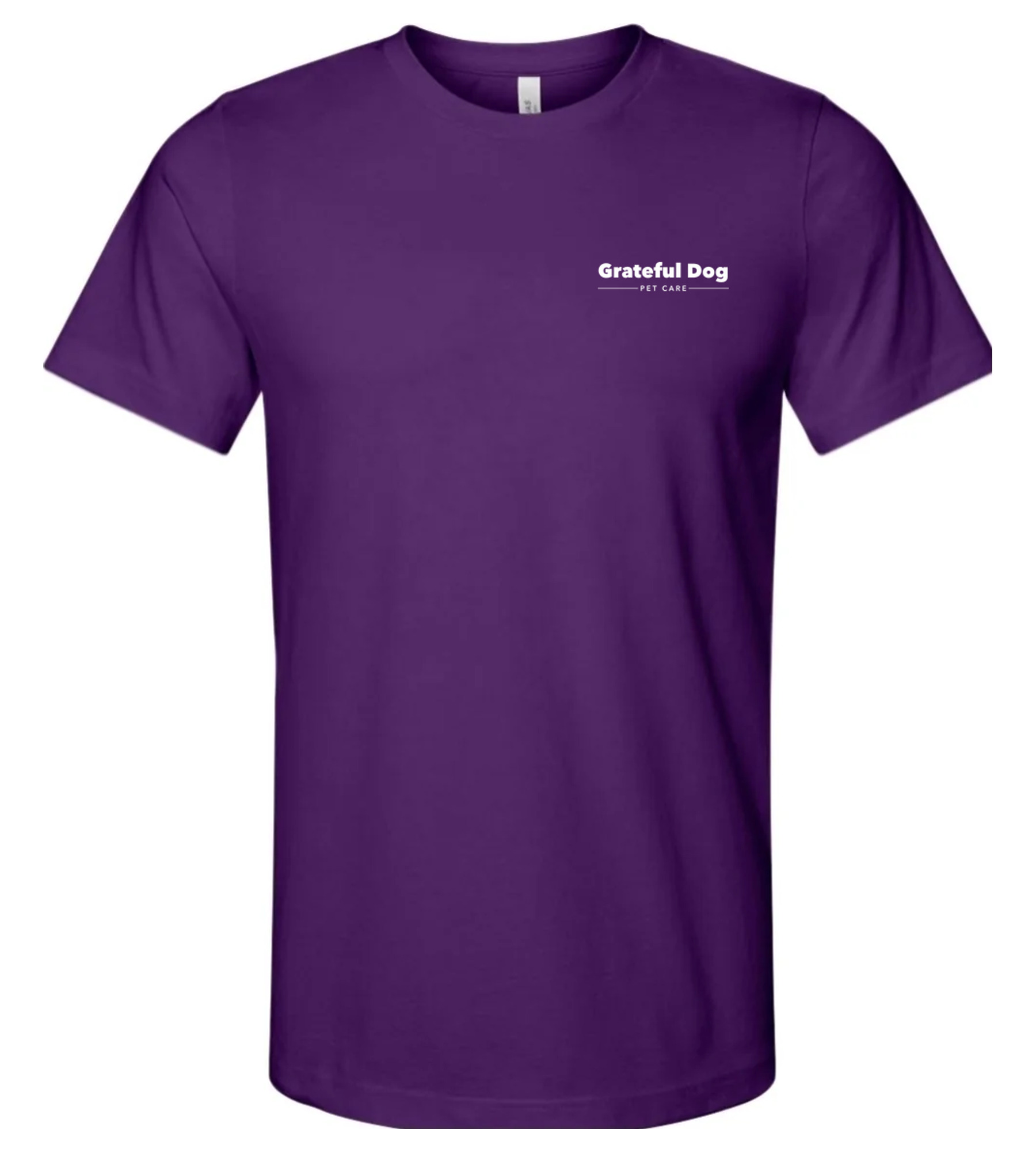 Bella + Canvas Jersey Tee